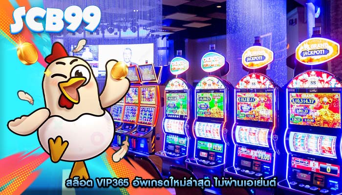 สล็อต vip365 อัพเกรดใหม่ล่าสุด ไม่ผ่านเอเย่นต์