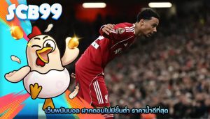 เว็บพนันบอล ฝากถอนไม่มีขั้นต่ำ ราคาน้ำดีที่สุด